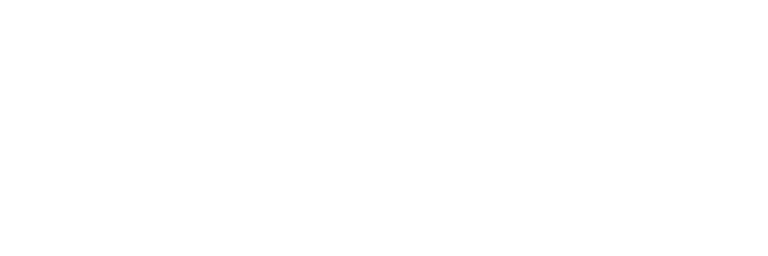 Logo DMI